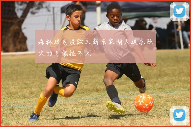 森林狼或成欧文新东家湖人追求欧文的可能性不大