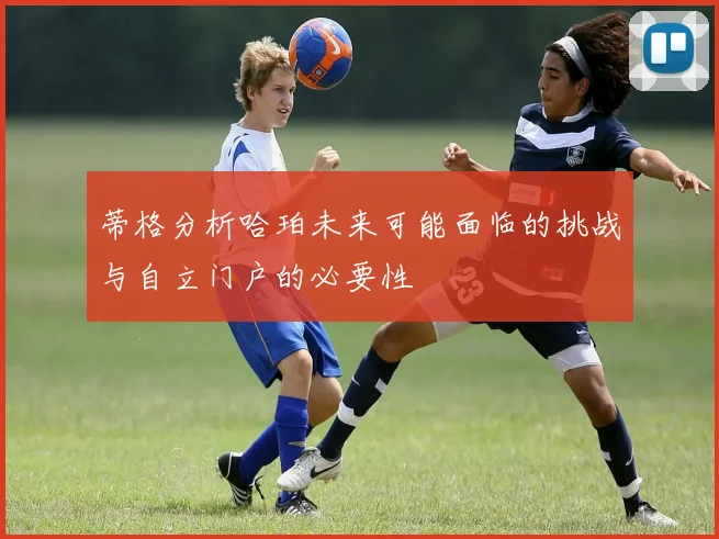 蒂格分析哈珀未来可能面临的挑战与自立门户的必要性