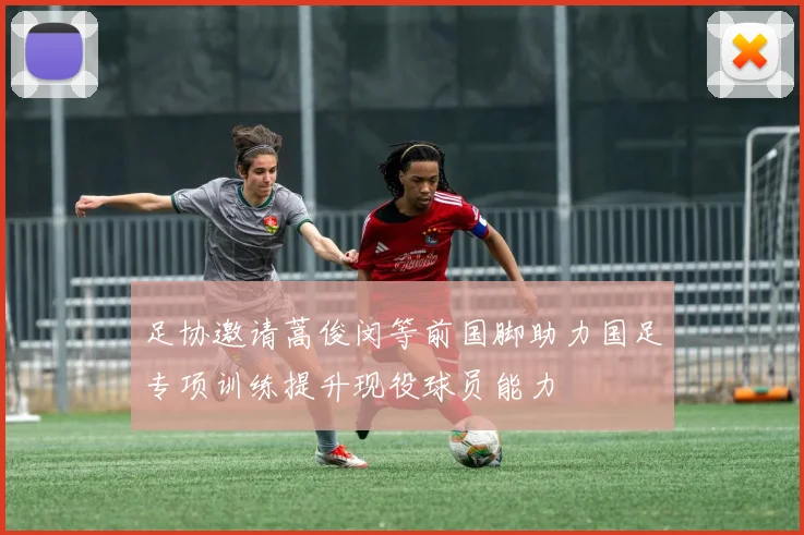 足协邀请蒿俊闵等前国脚助力国足专项训练提升现役球员能力
