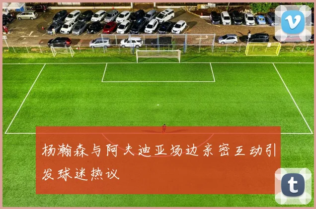 杨瀚森与阿夫迪亚场边亲密互动引发球迷热议