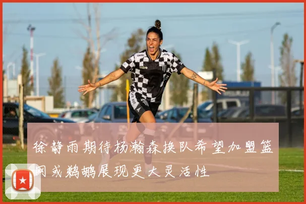 徐静雨期待杨瀚森换队希望加盟篮网或鹈鹕展现更大灵活性